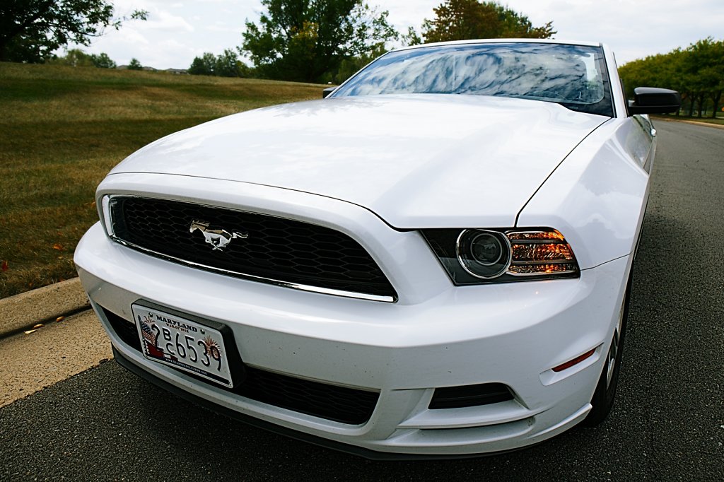 Mustang.2013