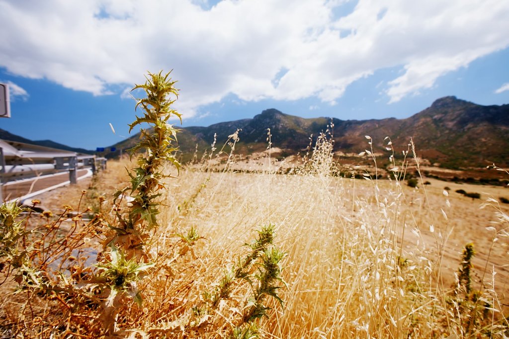 IMG-2499.jpg