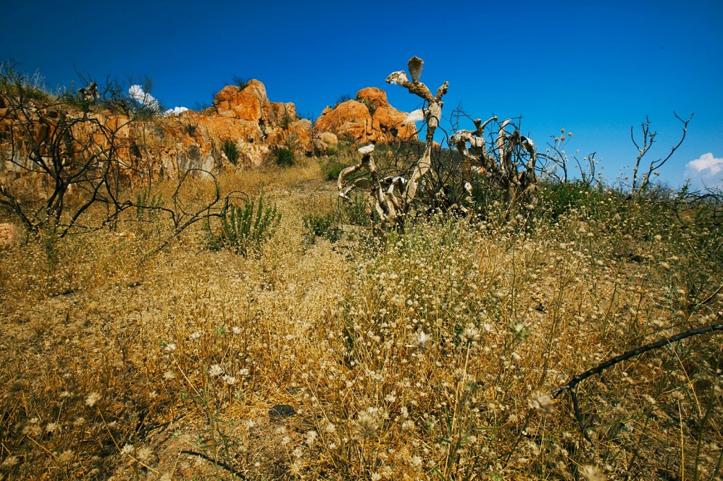 IMG-3388.jpg