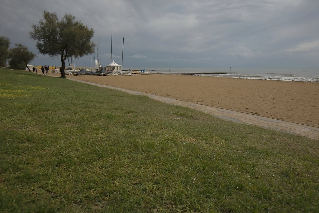 IMG-2448.jpg