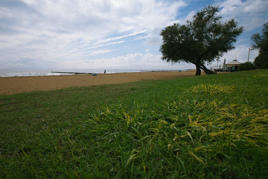 IMG-2449.jpg