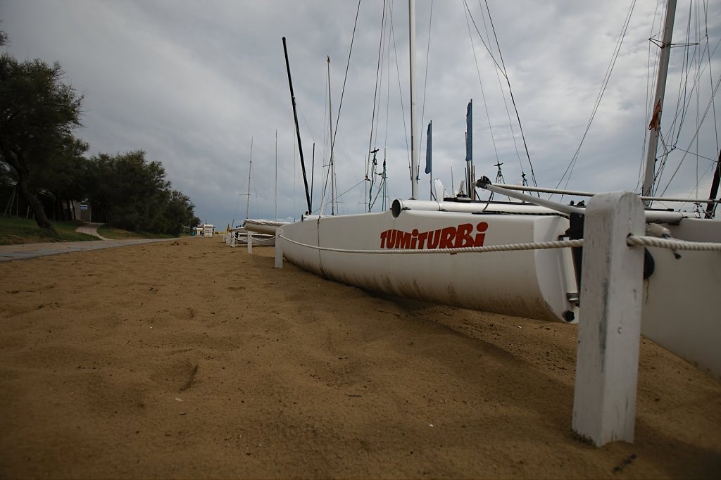 IMG-2450.jpg