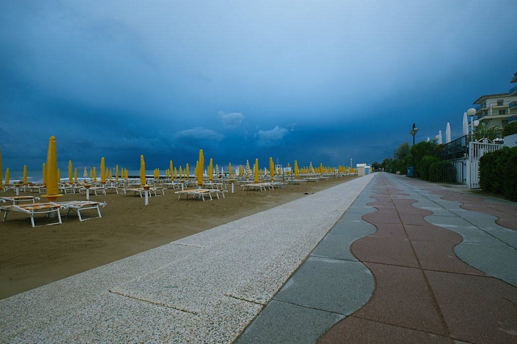 IMG-2583.jpg