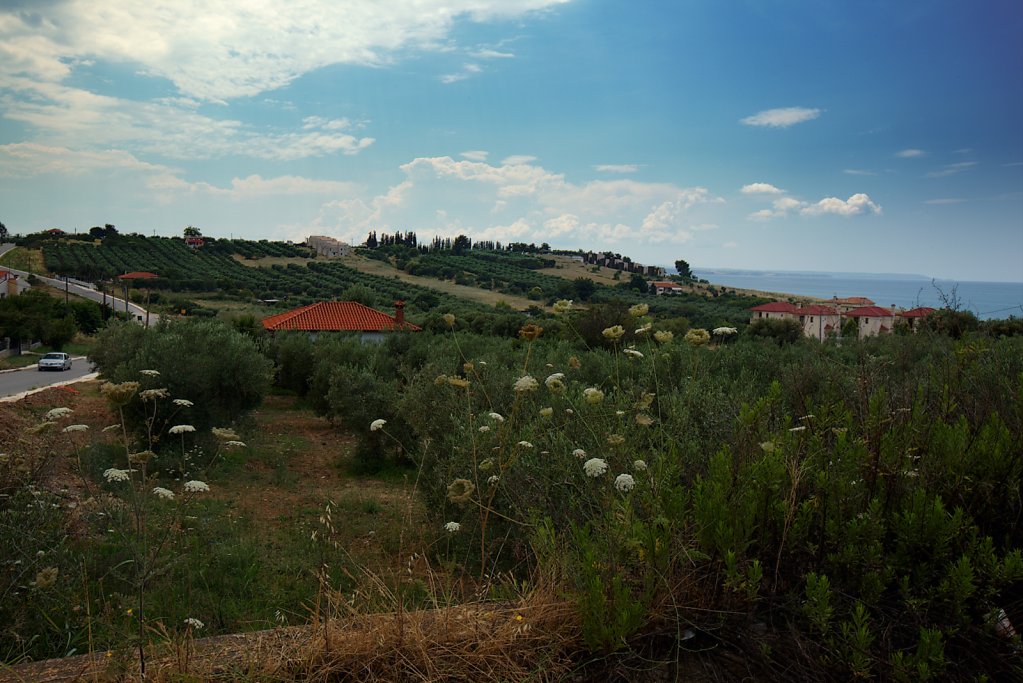 101A4484.jpg