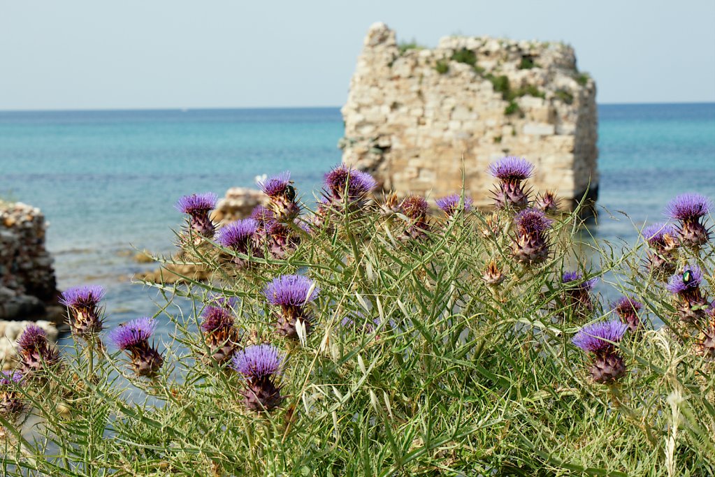 101A4512.jpg