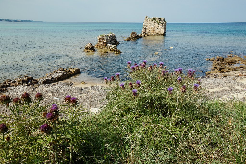 101A4515.jpg