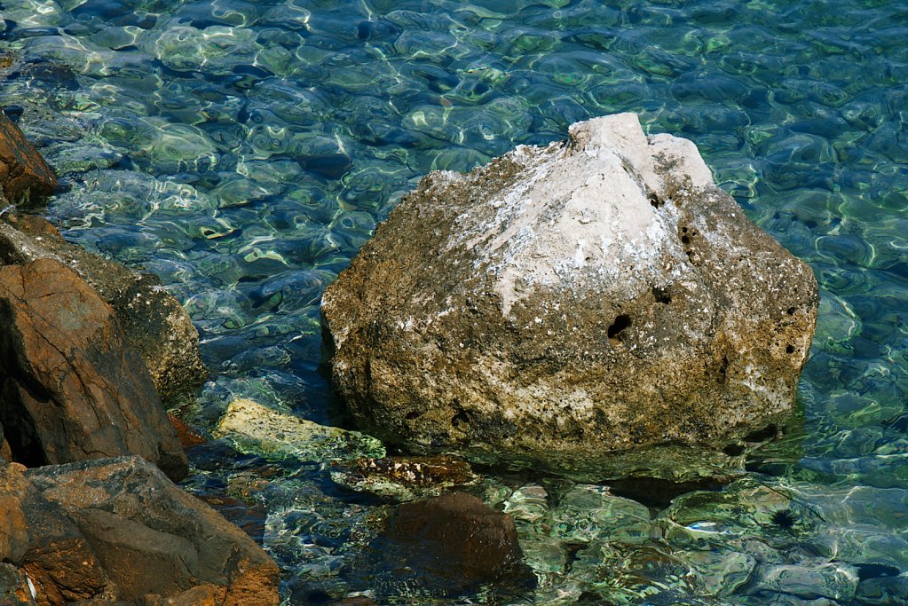 101A4526.jpg