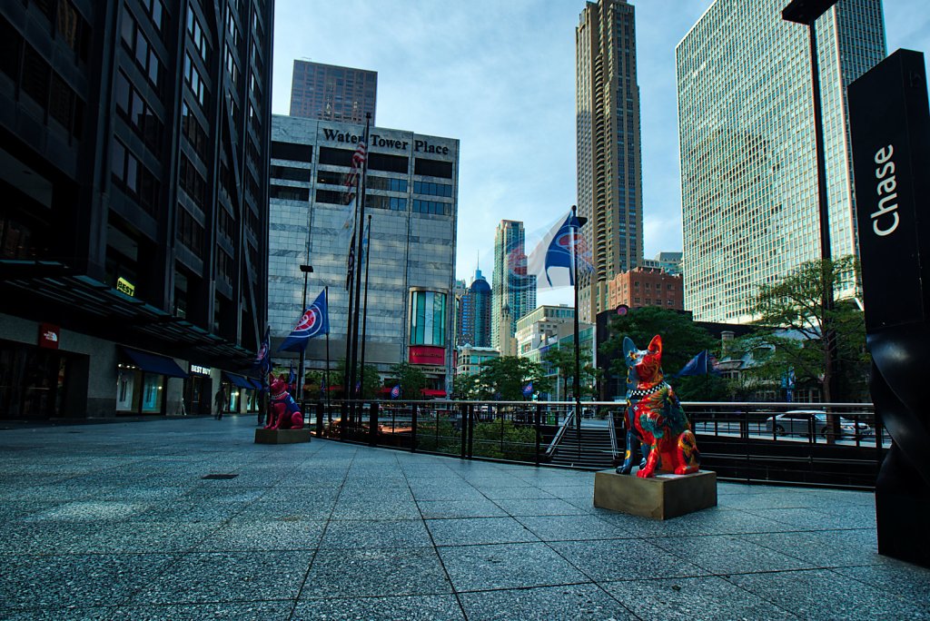 101A2528.jpg