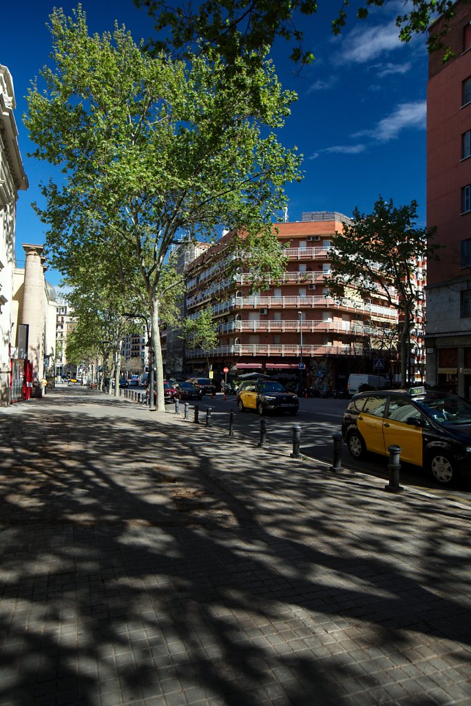 101A4658.jpg