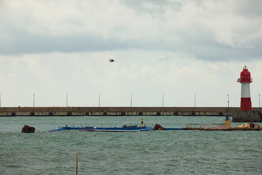 2R4A2397.jpg