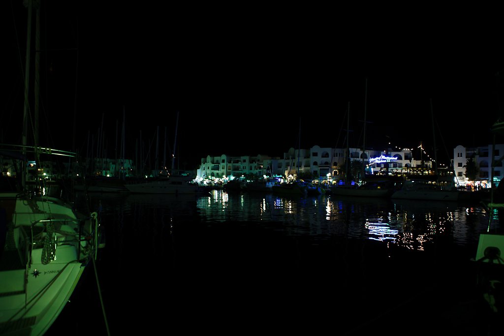 IMG-6583.jpg