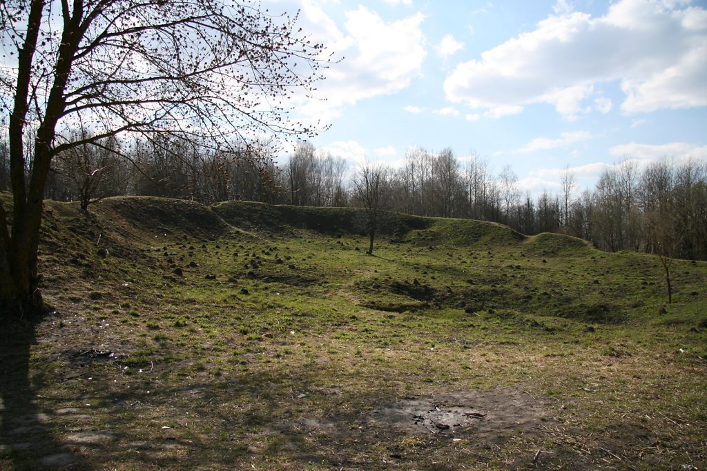 IMG-0171.JPG
