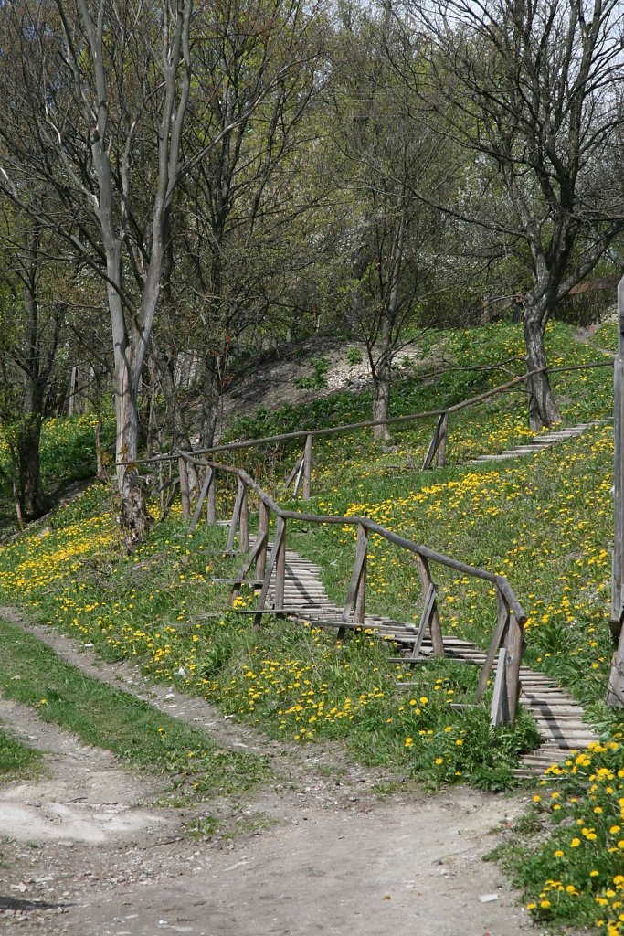 IMG-0992.JPG