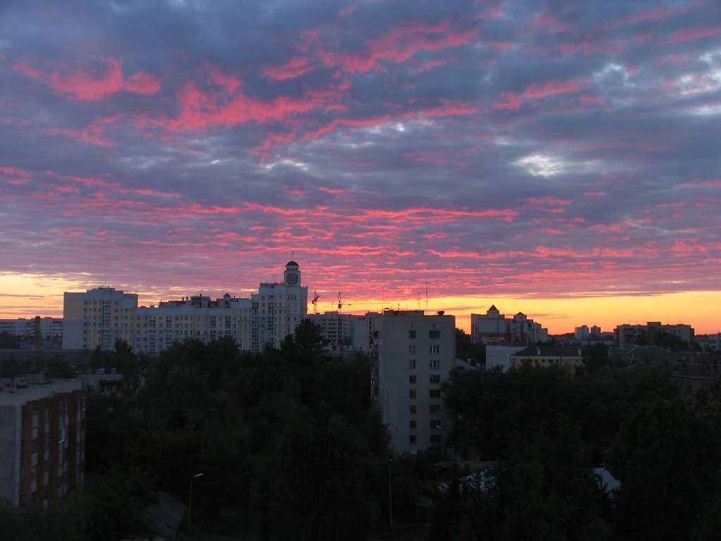 IMG-1703.JPG