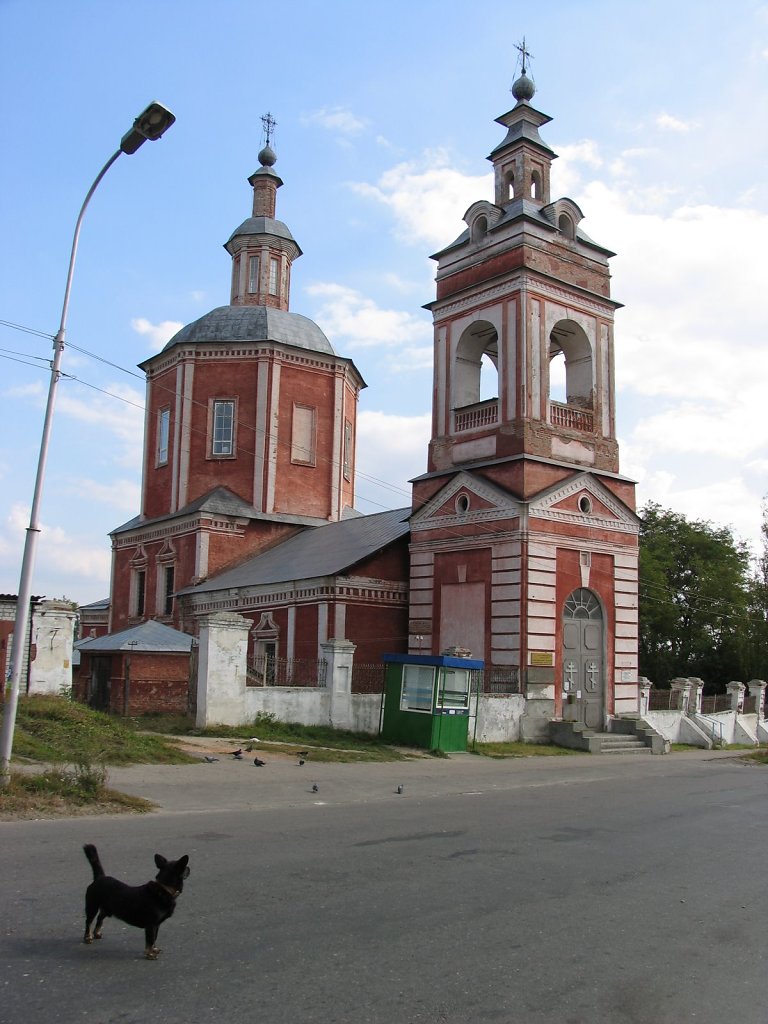 IMG-2507.JPG