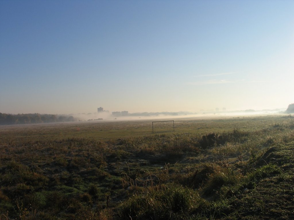 IMG-2636.JPG