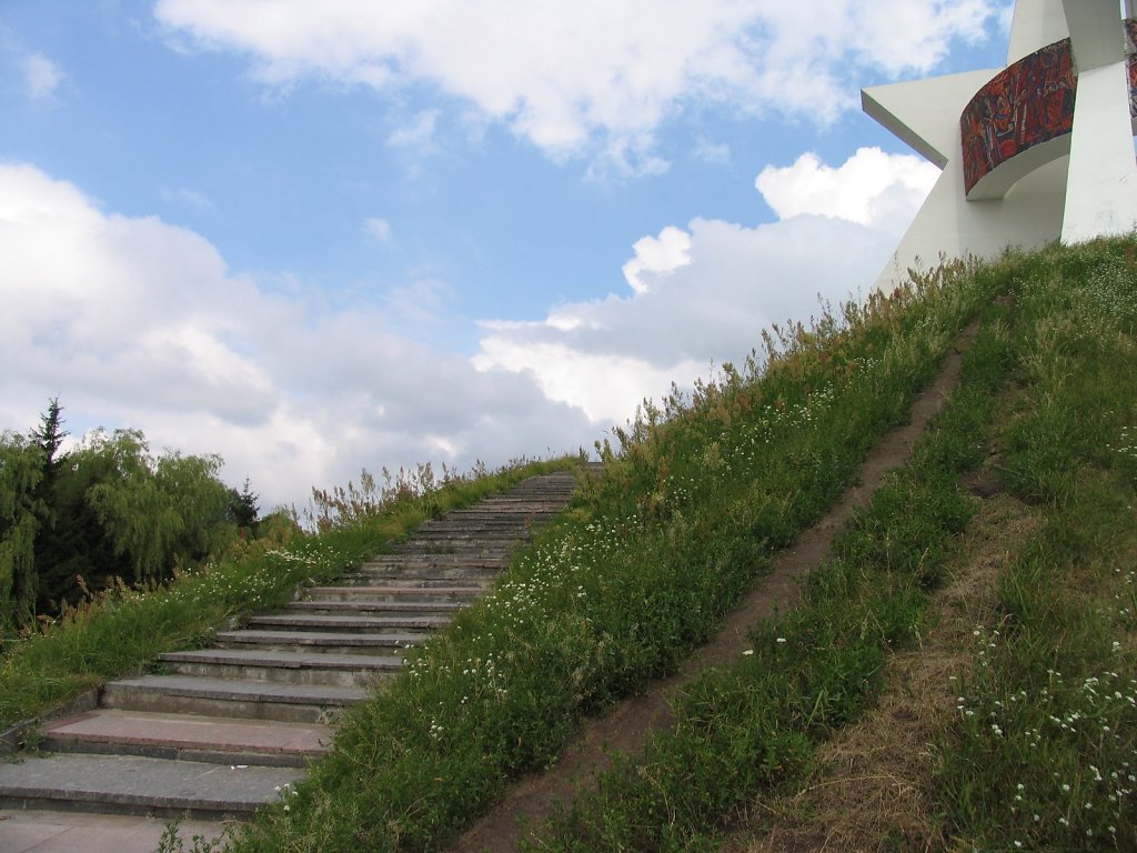 IMG-3349.JPG