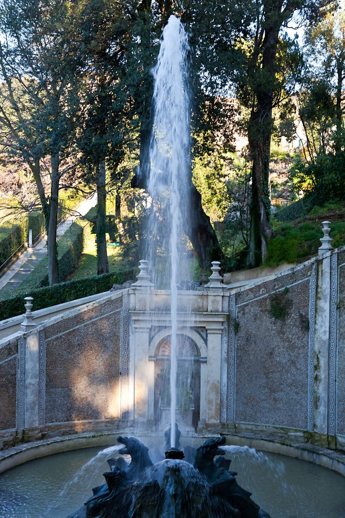 IMG-0882.jpg