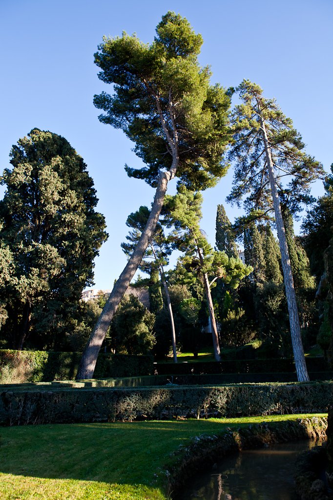 IMG-0904.jpg