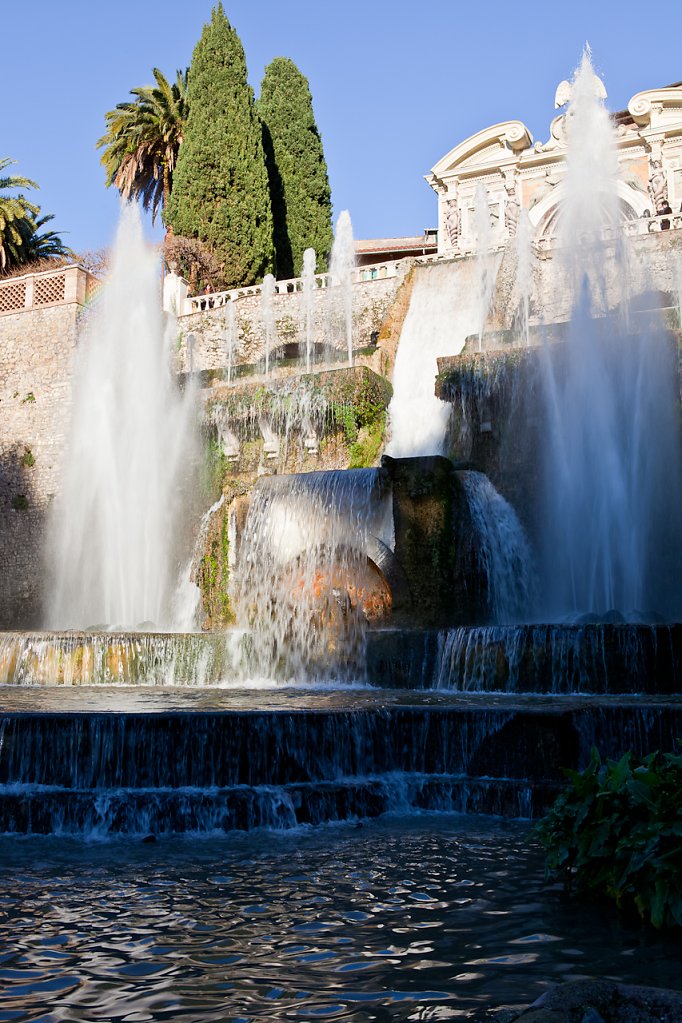 IMG-0919.jpg