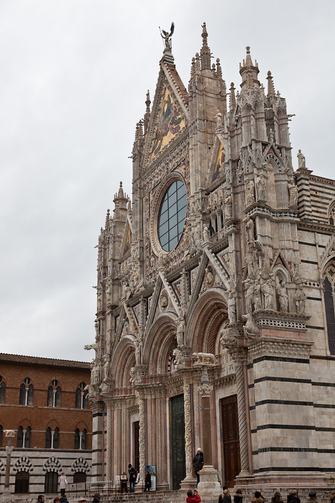 IMG-1456.jpg