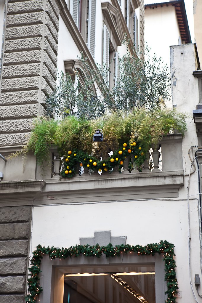 IMG-1554.jpg