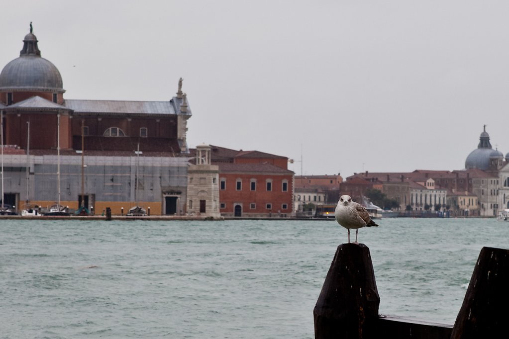IMG-1866.jpg