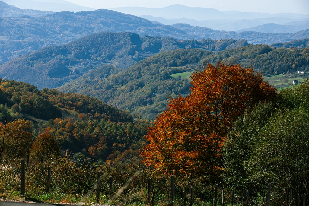 Zlatibor.2024